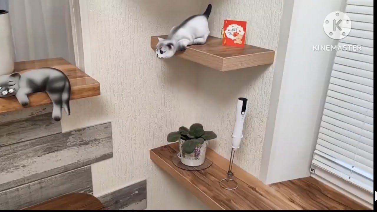 758. ДЕТИ- ВОЛЖАНЕ, ремонт СДЕЛАЛИ.🤗Я НА  стрижку! 💇‍♂️