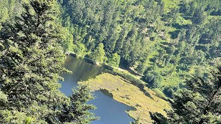 Haldenhof - Kälbelescheuer - Sirnitz - Nonnenmattweiher 🇩🇪 Schwarzwald Wanderung