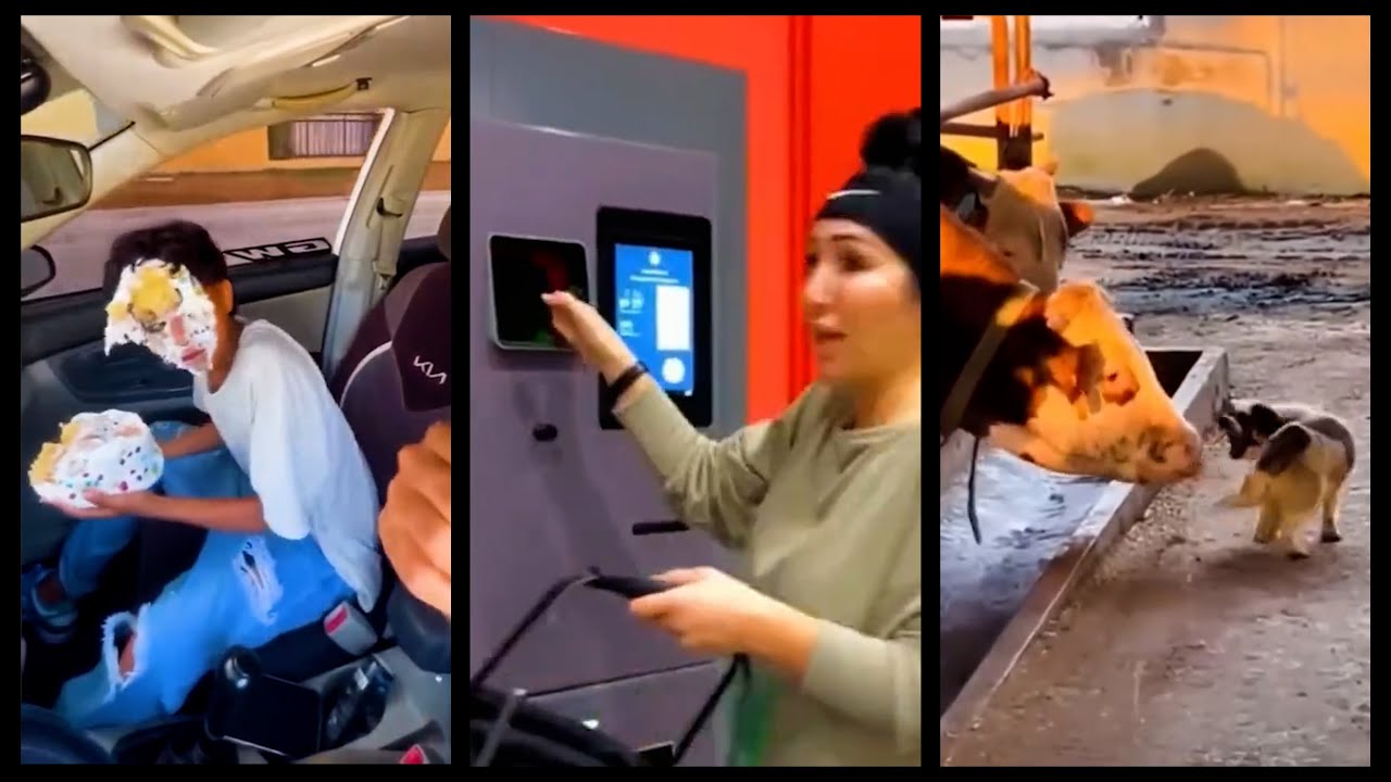 Gets Pied For Her Birthday in a Car | INTERNET VIRAL CLIPS