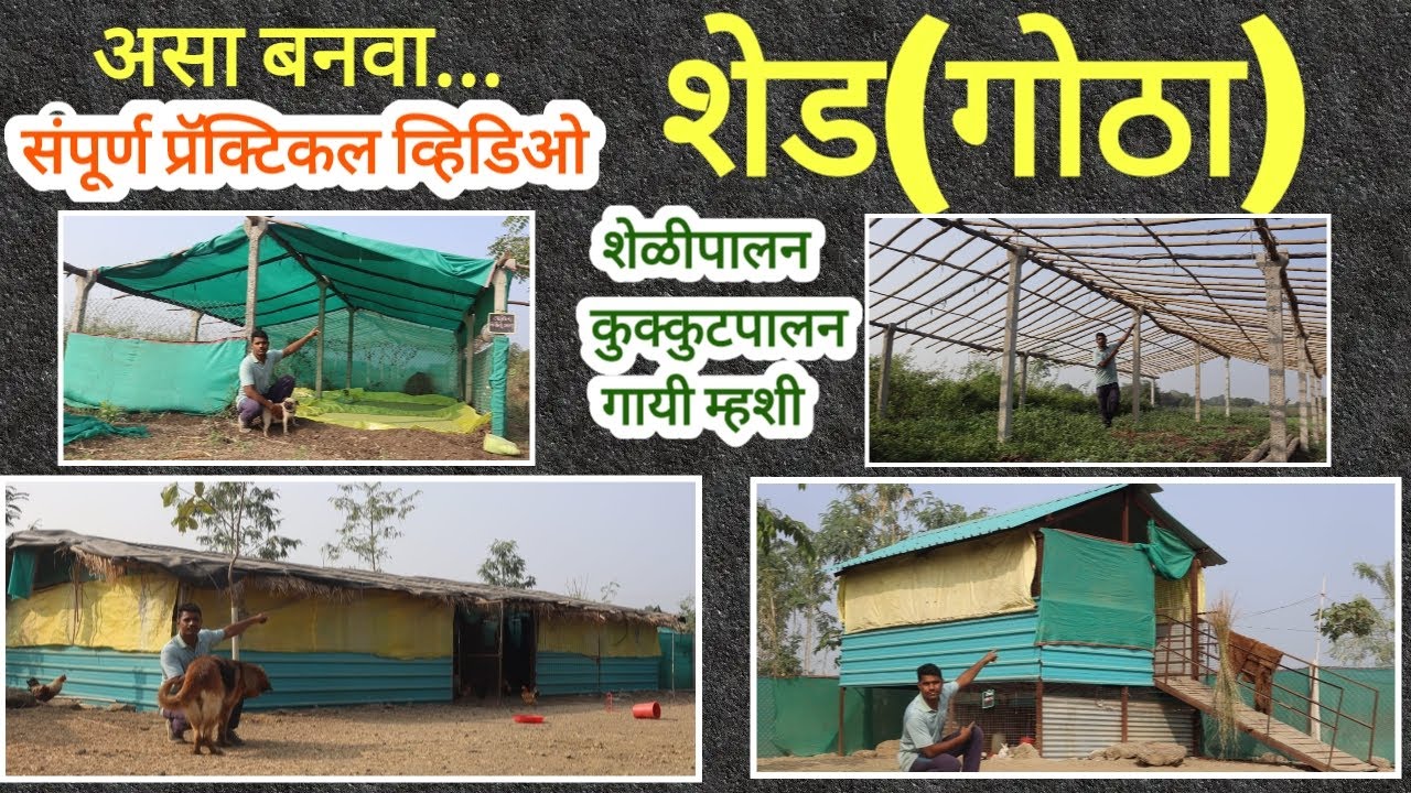गोठा (शेड) कसा बनवावा? प्रॅक्टिकल माहिती | शेळीपालन,कुक्कुटपालन,गाई म्हशींचा गोठा. #viral