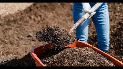 Homemade Mulch