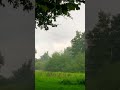 Surprising rainfall. #nature #summer #rain #weather #mindfulness #mindfulmoments