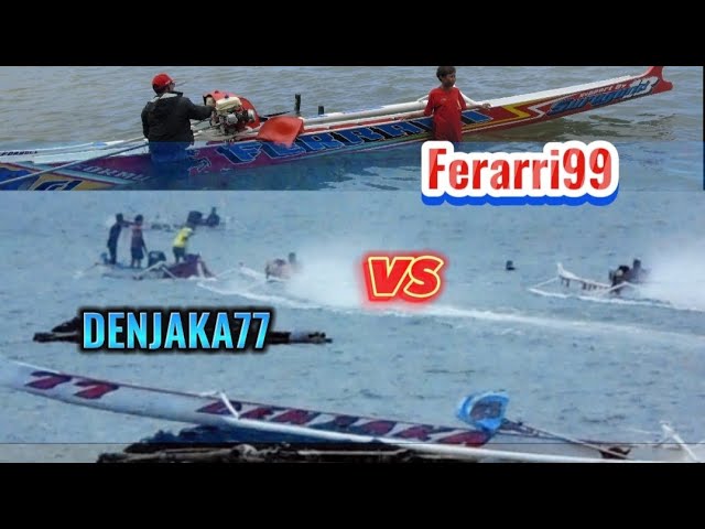 menegangkan beradu banteng ferarri99 vs denjaka77 @Lombok_Girang_Official class=