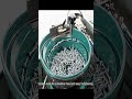 Automatic screw Fitting machine #facts