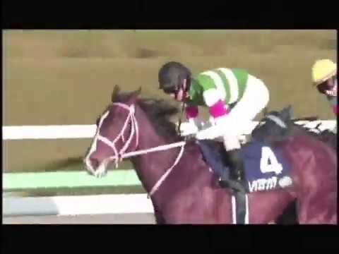 2019　阪神ジュベナイルフィリーズ