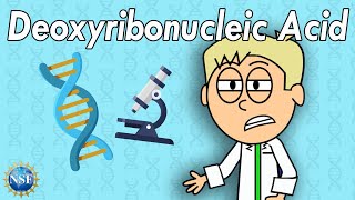 What is DNA? | Science For Kids