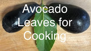 Avocado leaves for Cooking , Are they poisonous ?