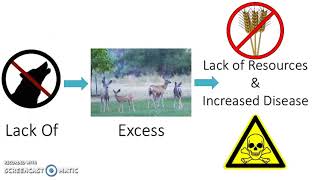 Trophic Cascade Mpg Matrix Trophic Cascade