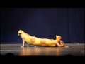 Totemo Fuzakeru Cosband - CatDog (TFC Cosplay Fun Video and Nickelodeon Parody on Cat Dog)