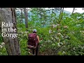 Backpacking in the rain  3 days camping by a river in the linville gorge