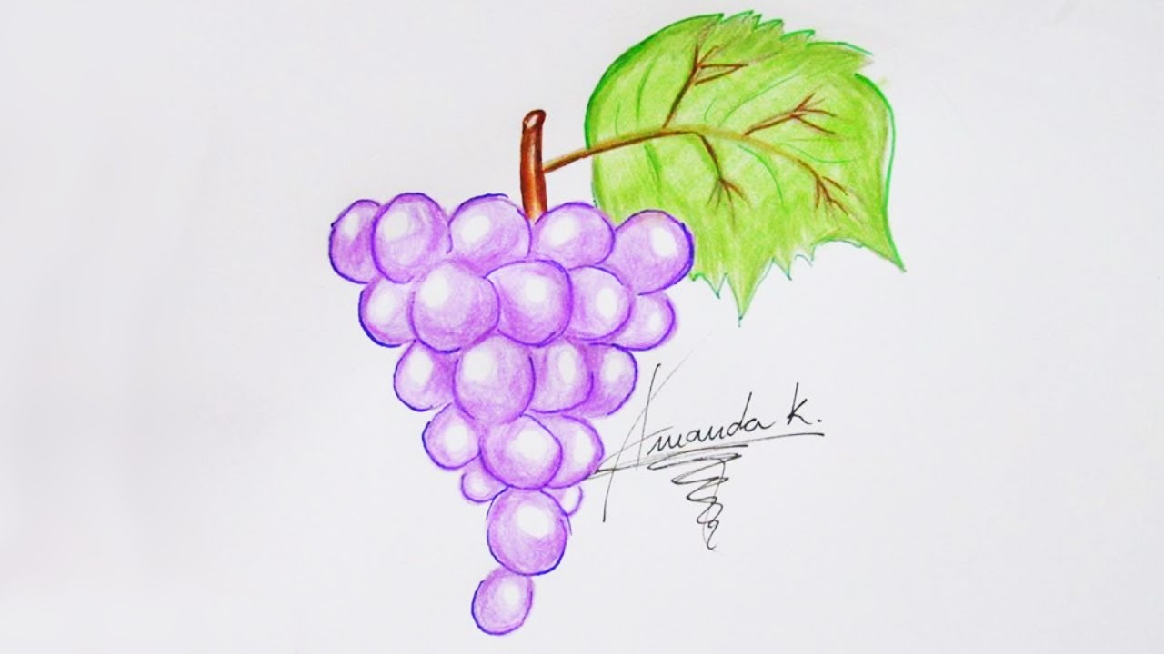 COMO DESENHAR UVAS / HOW TO DRAW GRAPES | Amanda Karla - YouTube
