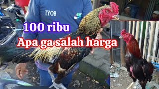 Is it wrong to give that chicken a price? (@ejtchannel)