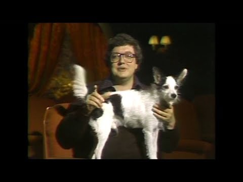 "dogs-of-the-week"-movie-reviews-part-1-(1978-1979)-sneak-previews-with-roger-ebert-and-gene-siskel