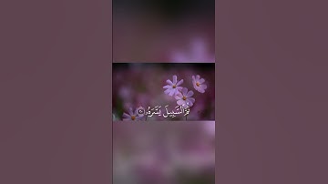 مقطع مؤثر سورة عَبس للشيخ محمد صديق المنشاوي 🌙 #اكسبلور #حالات_واتس #القرآن_الكريم