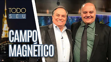 Como os animais veem o campo magnético da Terra?