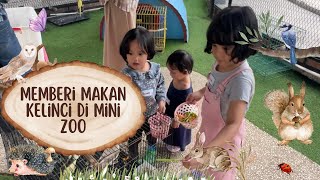 Memberi makan kelinci dan kambing di minizoo Bogor!