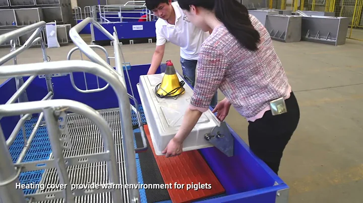 Hengyin Pig Farrowing Crate Introduction and Detail Display
