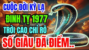 Đinh Tỵ 1977 Một Đời Kỳ LẠ: Khổ Là Phúc Giấu Kín, An Nhàn GIÀU SƯỚNG Là Quả Ngọt Cuối Đời