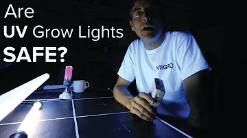 Is it OK to sleep with a black light on?