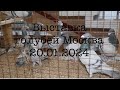 Ярмарка-Выставка голубей в Москве ЦСКА 20.01.2024 г.