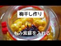 【もみ紫蘇】の作り方/梅干し作り