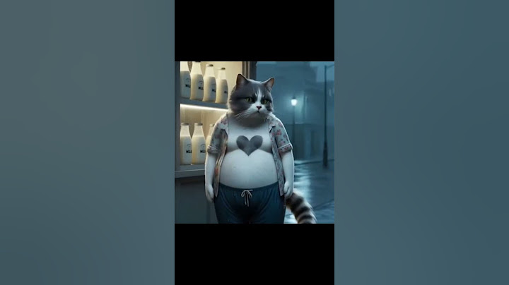 Cat stories