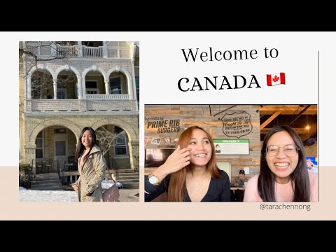 NEW INTERNATIONAL STUDENT TIPS w/ @tarachenong ?? #FanshaweCollege #WiseImmigration