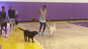 Klay Thompson Plays 1-on-2 vs Dogs, BRICKS Shot