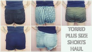 Plus Size Clothing Haul + Try-On | 2016 Ft. Torrid