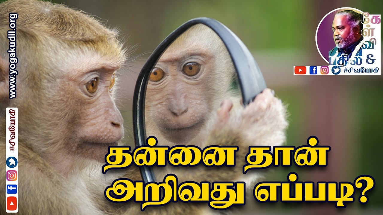 தன்னை தான் அறிவது எப்படி?