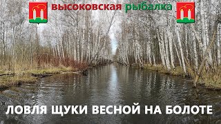 ЛОВЛЯ ЩУКИ ВЕСНОЙ НА ВОБЛЕРЫ