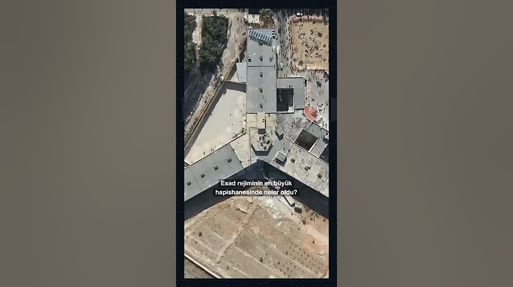 Syria's largest prison: What happened in Sednaya?