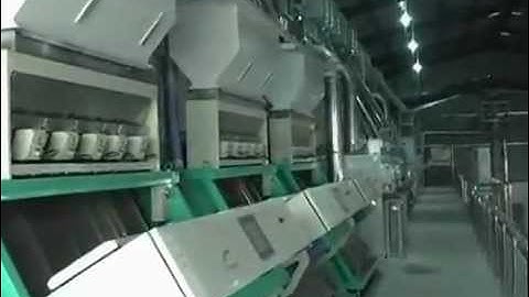 High-End Intelligent CCD Rice Color Sorter in Thailand-Email: smarthonesty@yahoo.com