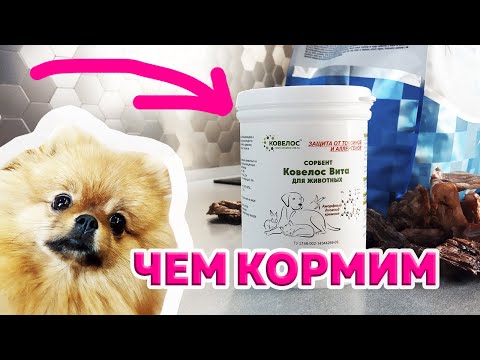 Video: Co Krmit Psa S Lymphangiectasia