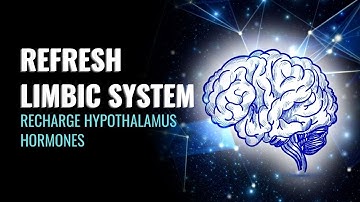 Refresh Limbic System | Recharge Hypothalamus Hormones | Empower The Homeostasis of The Body | 528Hz