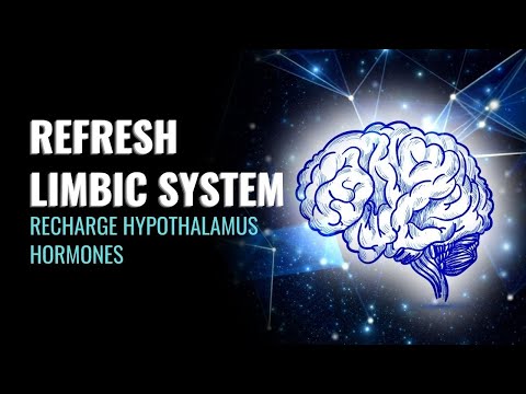 Refresh Limbic System | Recharge Hypothalamus Hormones | Empower The Homeostasis of The Body | 528Hz