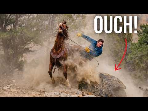 Thumbnail for Training Colts While Packing Salt in Utah's High Desert (GONE WRONG)