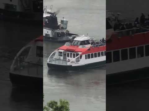 Video: Kip slobode Express - jednosatno krstarenje jahtom Zephyr lukom