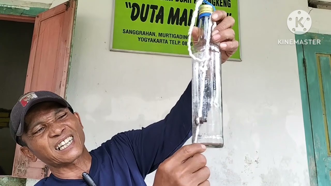 Kelelawar Kabur,kelengkeng aman