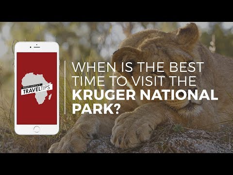 Video: Thời điểm tốt nhất để tham quan Vườn quốc gia Kruger