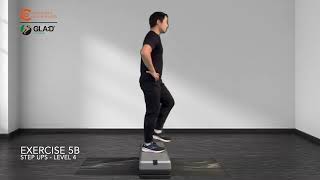 GLA:D® Exercise 5B Step Ups Level 4
