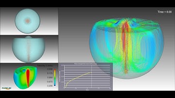 Gas Particle FLOW-3D model