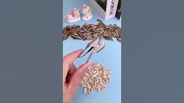 Game-Changer! All-in-One Nut Cracker Tool Review 🥜🔥#NutCracker #KitchenGadgets #AllInOne #EasyCook