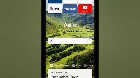 Install Metamask Web on your phone, using Yandex Alpha
