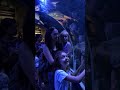 Аква тоннель. Берлин, Германия. AquaDom &amp; SEA LIFE. Aqua tunnel. Berlin, Germany #shorts