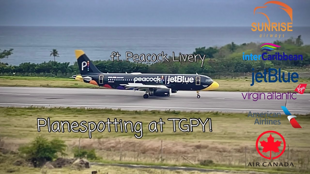 39 Minutes of Planespotting at the Maurice Bishop International Airport!