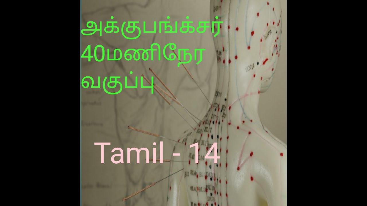 ACUPUNCTURE 40 hours Diploma Course By Mr Thiyagarajan Tamil DAY 14