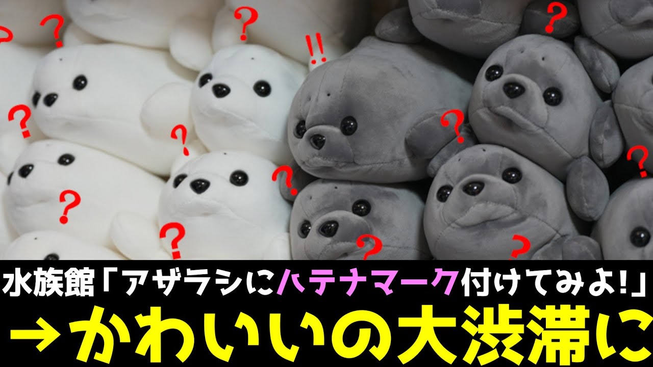 大人気水族館、かわいさ100割増しのアザぬいを生み出してしまうwww 【えのすい/新江ノ島水族館】