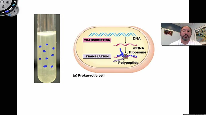 Cracking the Genetic Code
