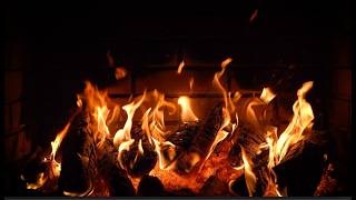 12H Slow Burn Oak Fire 🔥 Realistic Hearthside ASMR for Intense Study Focus